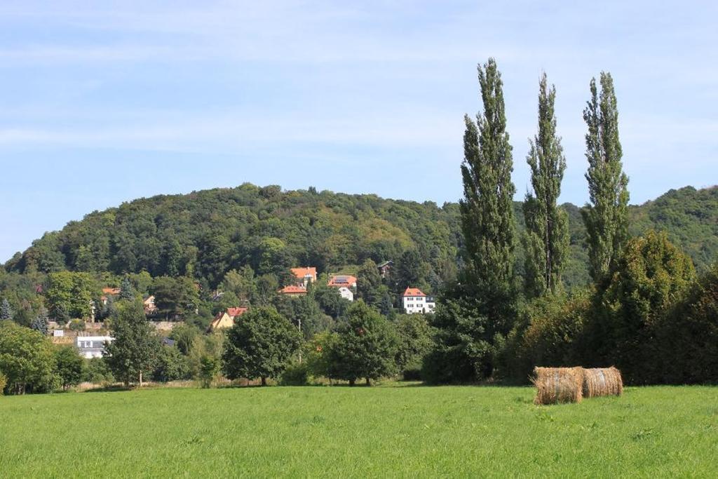 Traumhaftes Elb-Chalet Dresden Luaran gambar